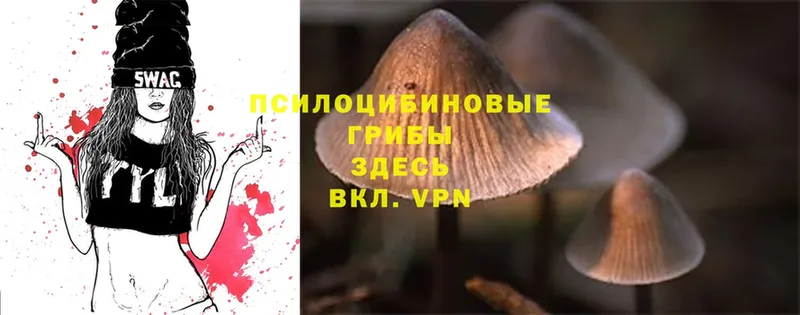 Псилоцибиновые грибы MAGIC MUSHROOMS Заволжск